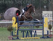 Clayton Mr Darcy TosTour 2013- S5 7900 : Arezzo Equestrian Centre, Clayton Joseph, Mr Darcy, Toscana Tour 2013, foto di Stefano Secchi ©